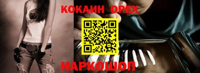 apvp Камышлов